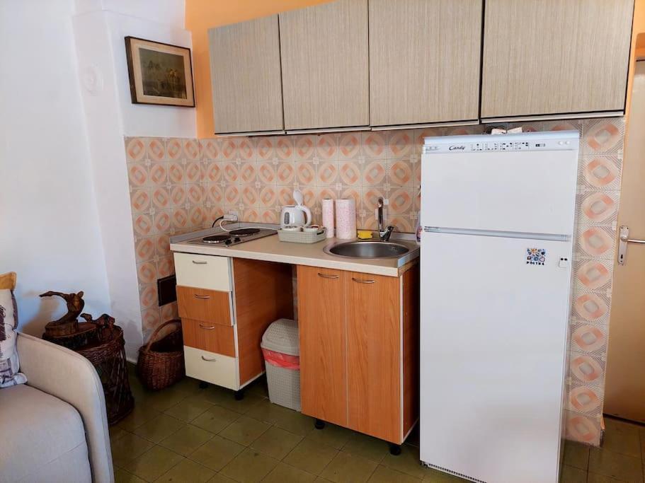 Apartman Boljevic Podgoriçe Dış mekan fotoğraf