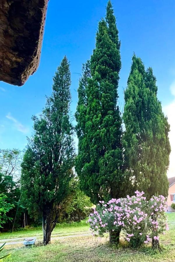 Apartman Boljevic Podgoriçe Dış mekan fotoğraf